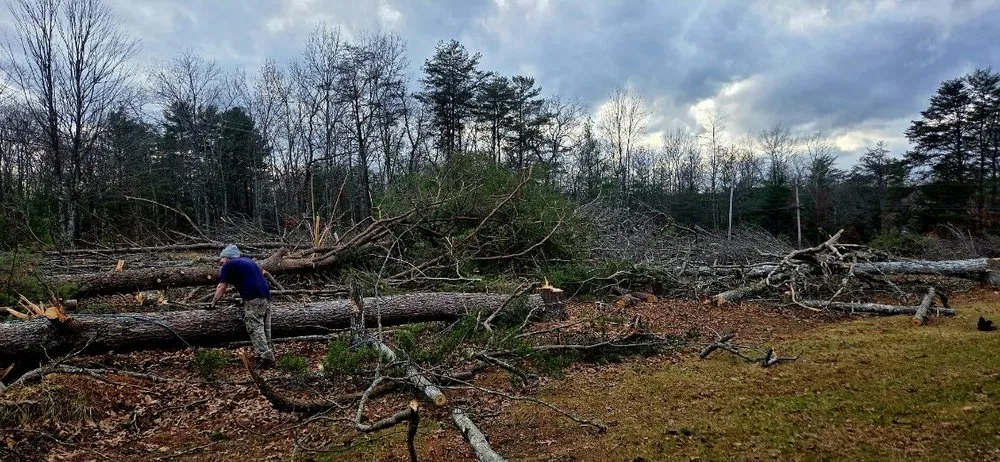 Trusted landscape design with custom design in Crossville, TN by J&A Tree and Lawn Service