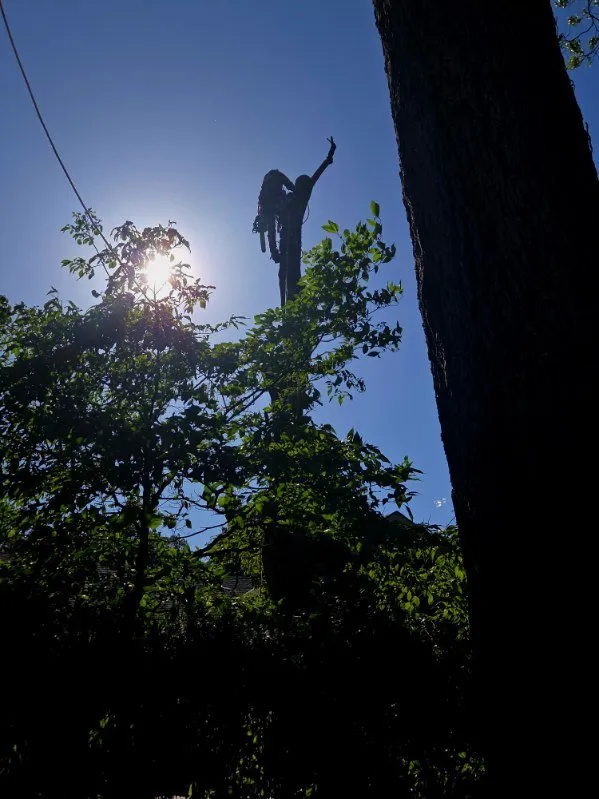 Custom residential landscaping in Crossville, TN by J&A Tree and Lawn Service
