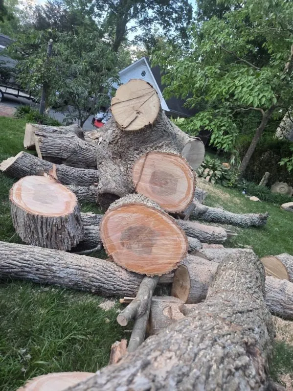 Expert yard cleanup service in Crossville, TN - J&A Tree and Lawn Service