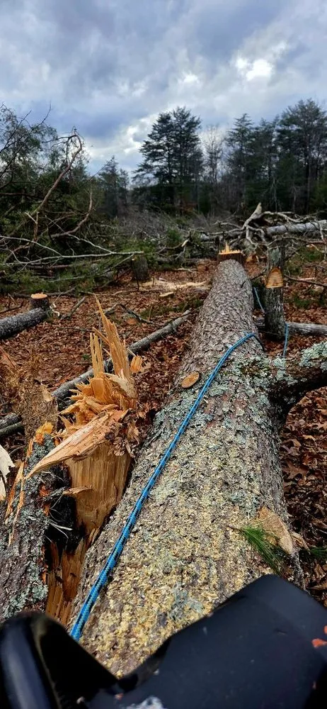 Local yard maintenance for outdoor upgrades across Crossville, TN - J&A Tree and Lawn Service