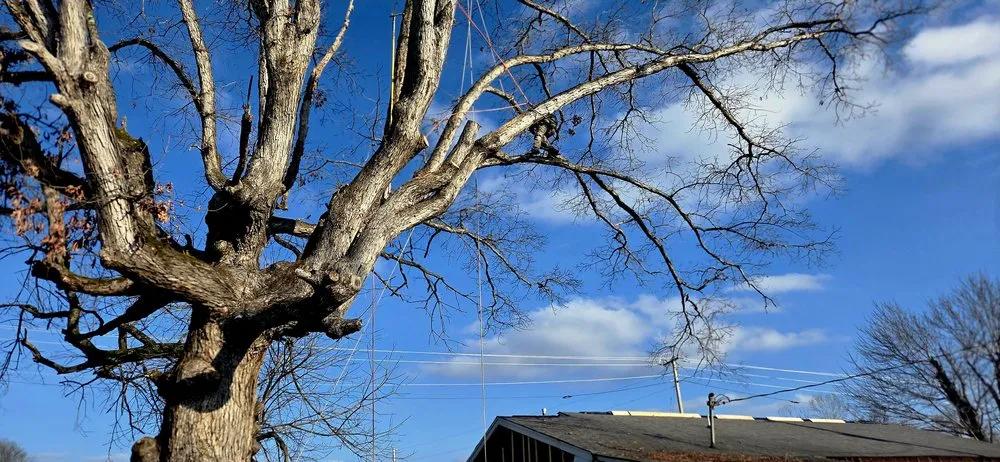 Professional lawn mowing service experts serving Crossville, TN - J&A Tree and Lawn Service