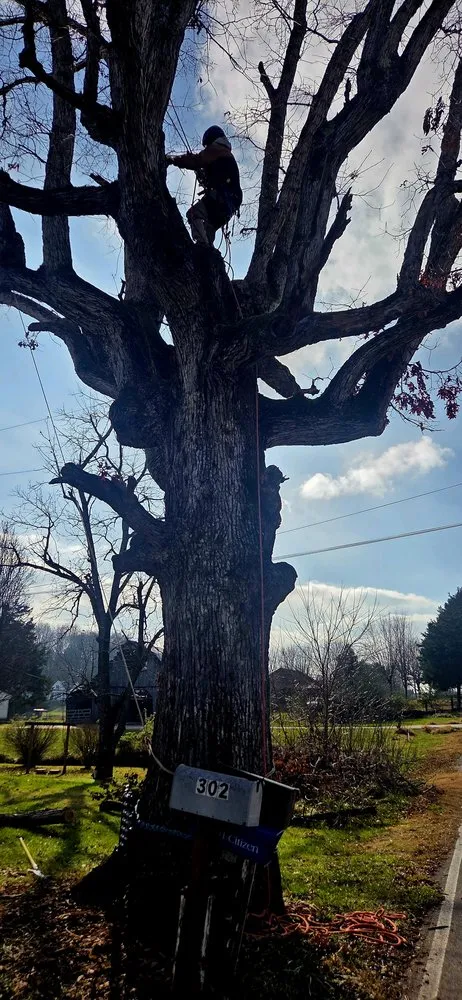 Top-rated lawn mowing service in Crossville, TN - J&A Tree and Lawn Service