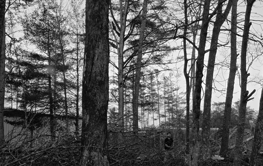 Affordable landscape design in Crossville, TN - J&A Tree and Lawn Service