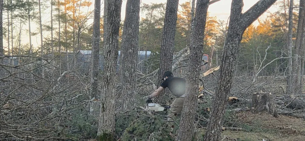 Local lawn care service in Crossville, TN by J&A Tree and Lawn Service