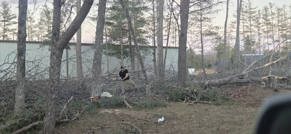 Reliable landscaping services for year-round maintenance across Crossville, TN - J&A Tree and Lawn Service