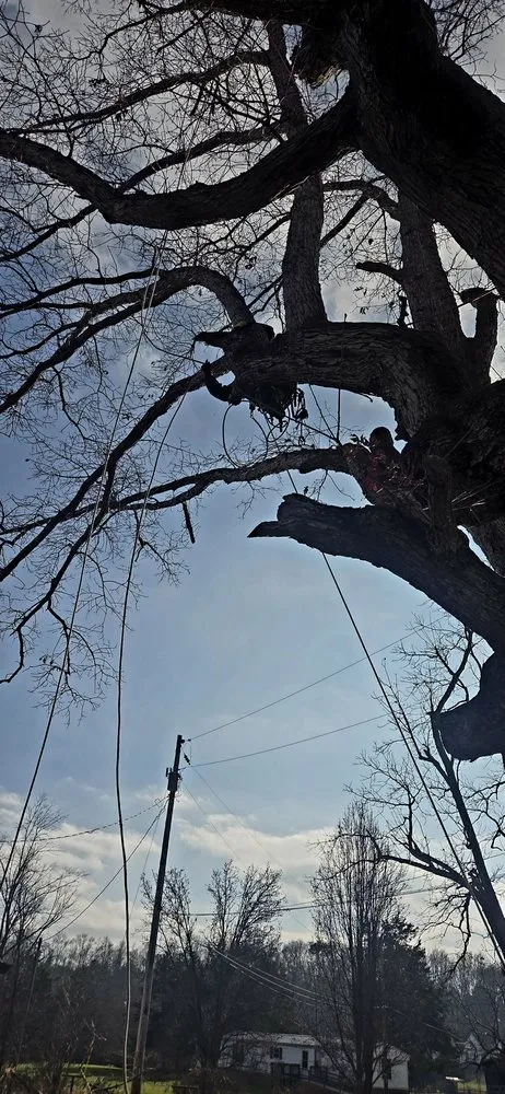 Expert garden landscaping in Crossville, TN by J&A Tree and Lawn Service