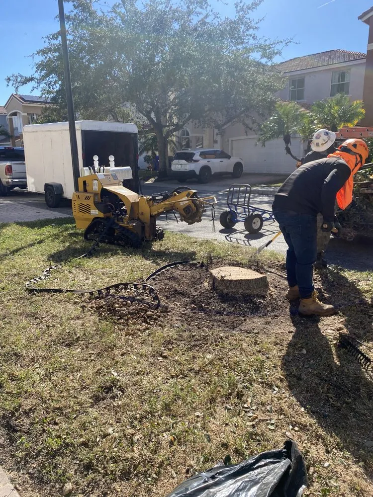 Top-rated garden landscaping for outdoor upgrades in Fort Lauderdale, FL by J&A Tree Chompers