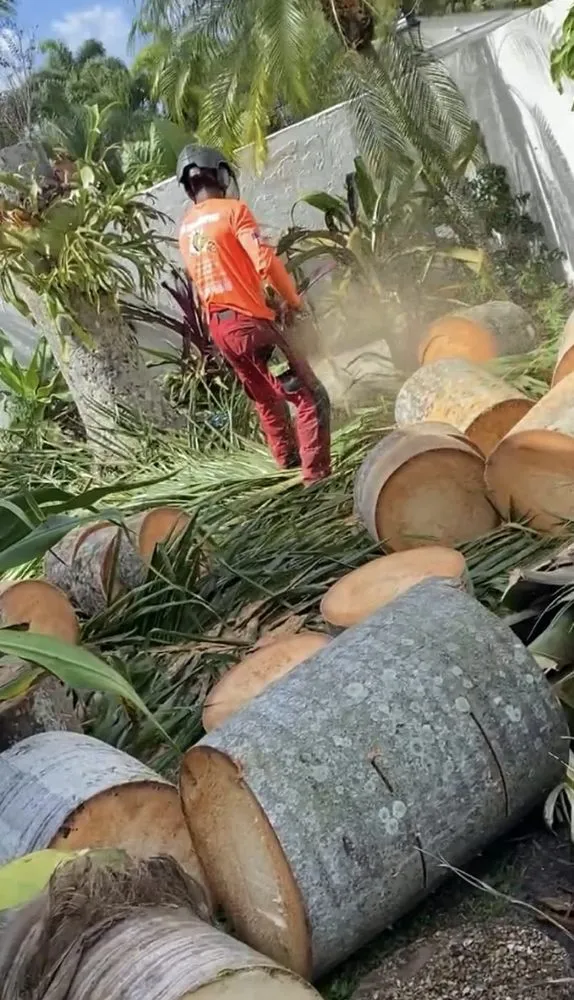 Custom garden landscaping near you across Fort Lauderdale, FL - J&A Tree Chompers