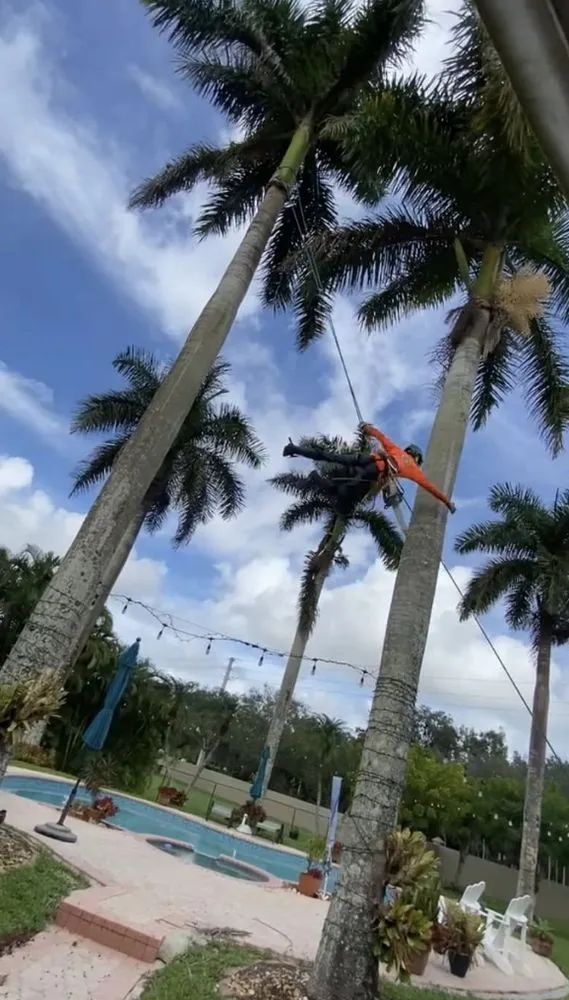 Reliable outdoor landscaping in Fort Lauderdale, FL - J&A Tree Chompers