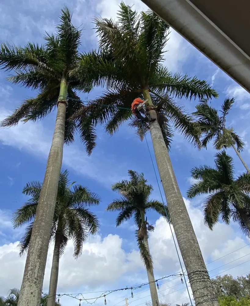 Local outdoor landscaping for homes in Fort Lauderdale, FL by J&A Tree Chompers