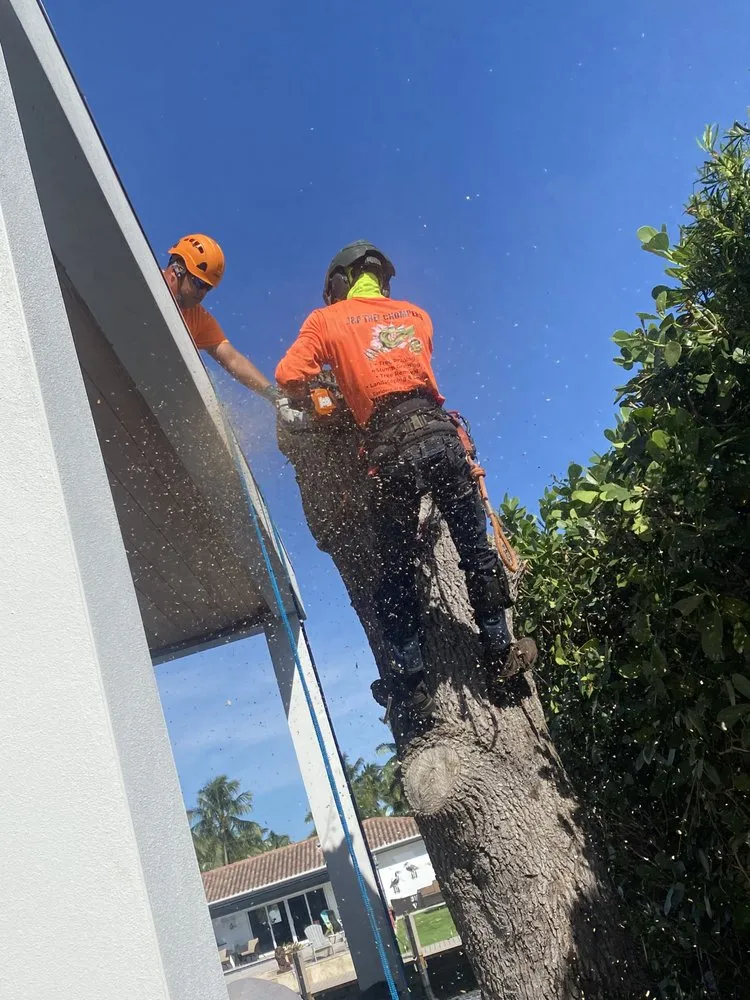 Local yard cleanup service in Fort Lauderdale, FL - J&A Tree Chompers