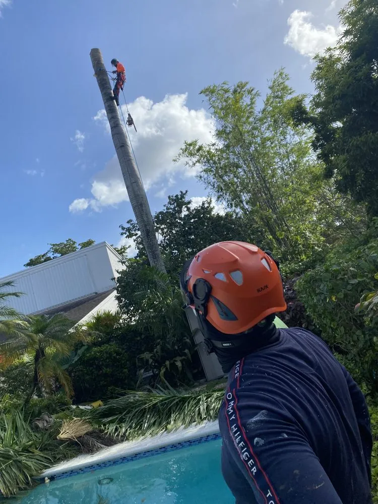 Professional garden landscaping for outdoor upgrades in Fort Lauderdale, FL by J&A Tree Chompers