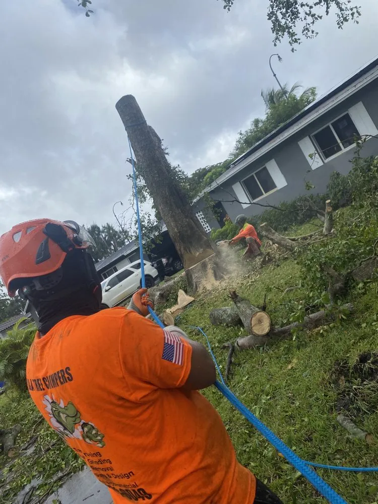 Expert lawn mowing service in Fort Lauderdale, FL - J&A Tree Chompers