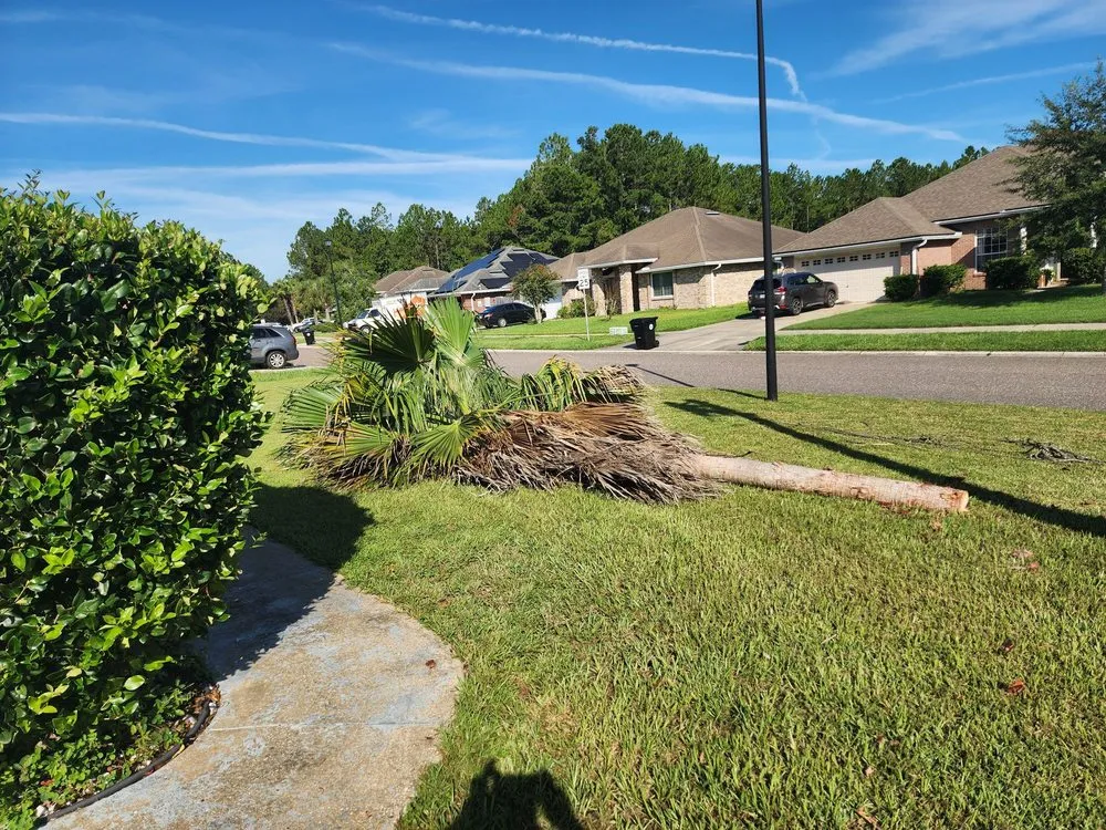 Expert outdoor landscaping for year-round maintenance across Jacksonville, FL - J&A Tree Removal