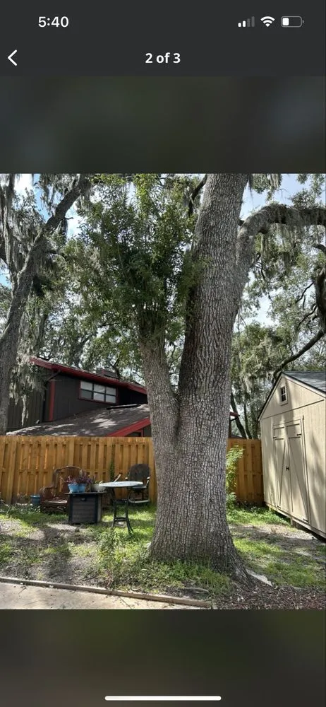 Local outdoor landscaping experts serving Jacksonville, FL - J&A Tree Removal