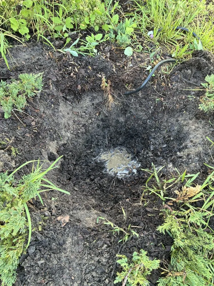 Trusted landscape design in Jacksonville, FL - J&A Tree Removal