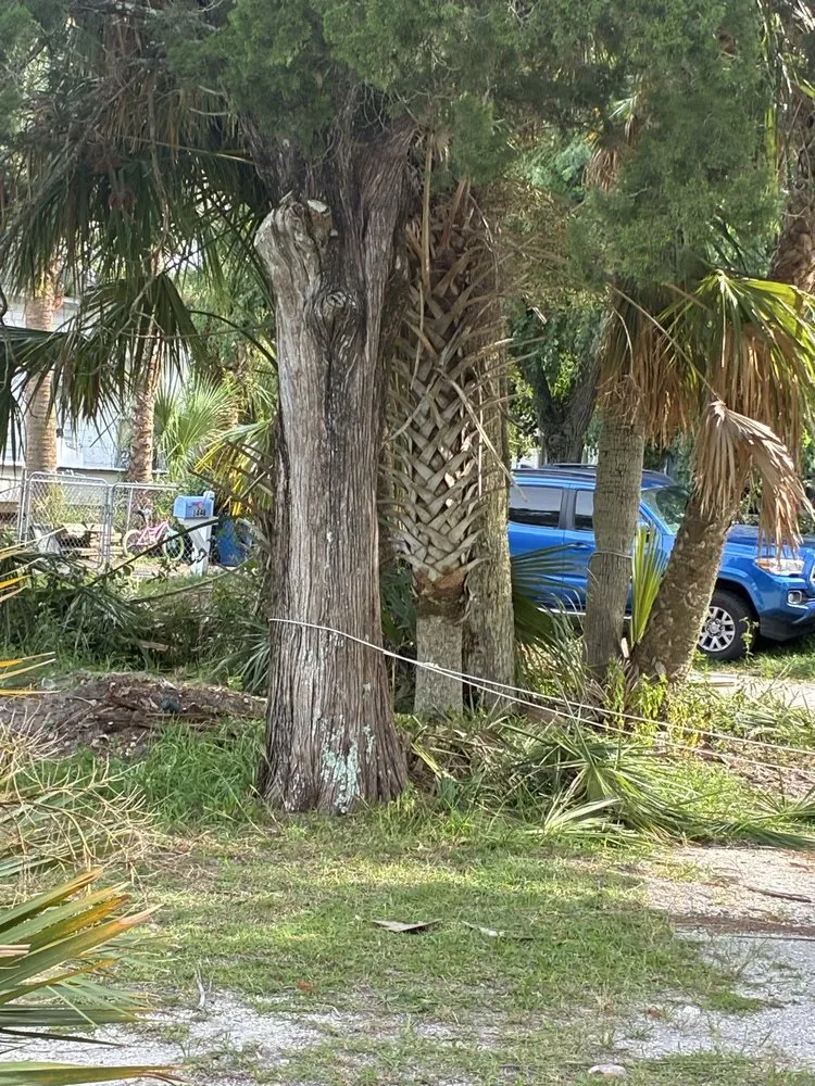 Professional garden landscaping in Jacksonville, FL - J&A Tree Removal