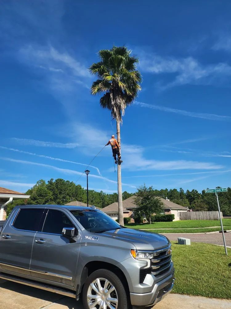 Trusted lawn mowing service for year-round maintenance in Jacksonville, FL by J&A Tree Removal