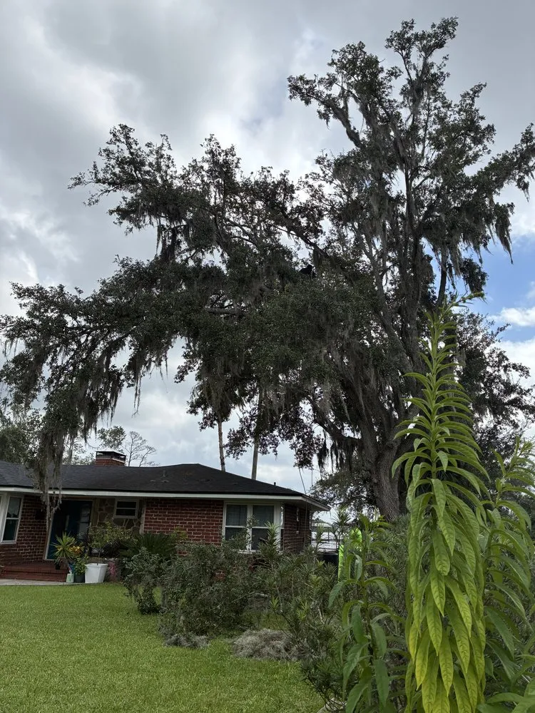 Top-rated lawn mowing service with custom design across Jacksonville, FL - J&A Tree Removal