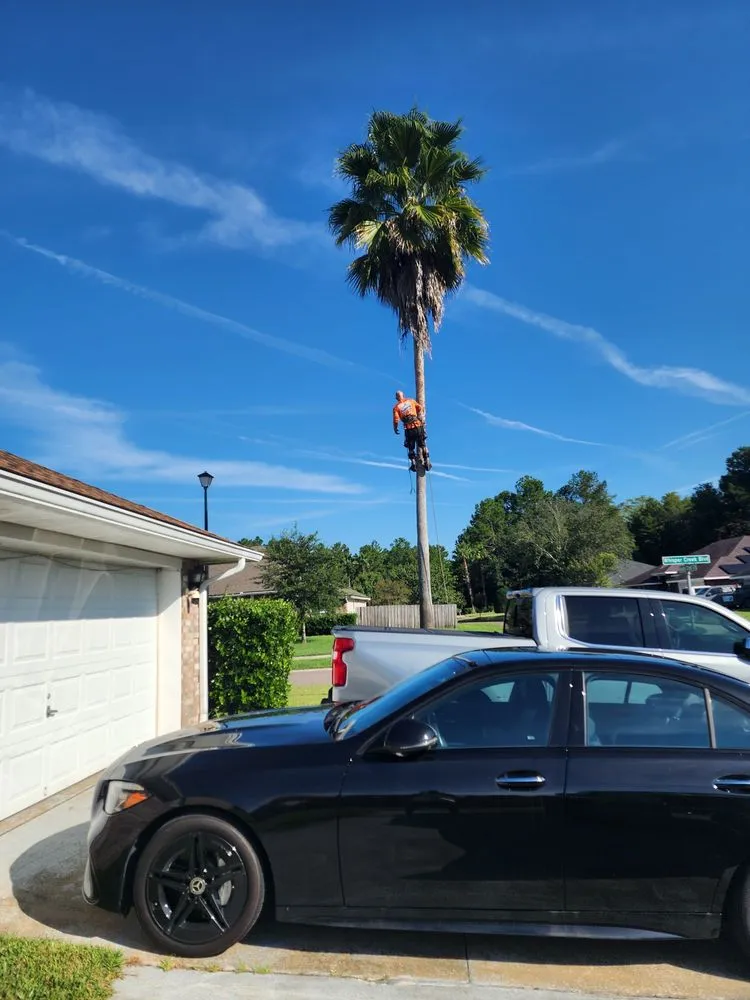 Expert garden landscaping with custom design in Jacksonville, FL by J&A Tree Removal