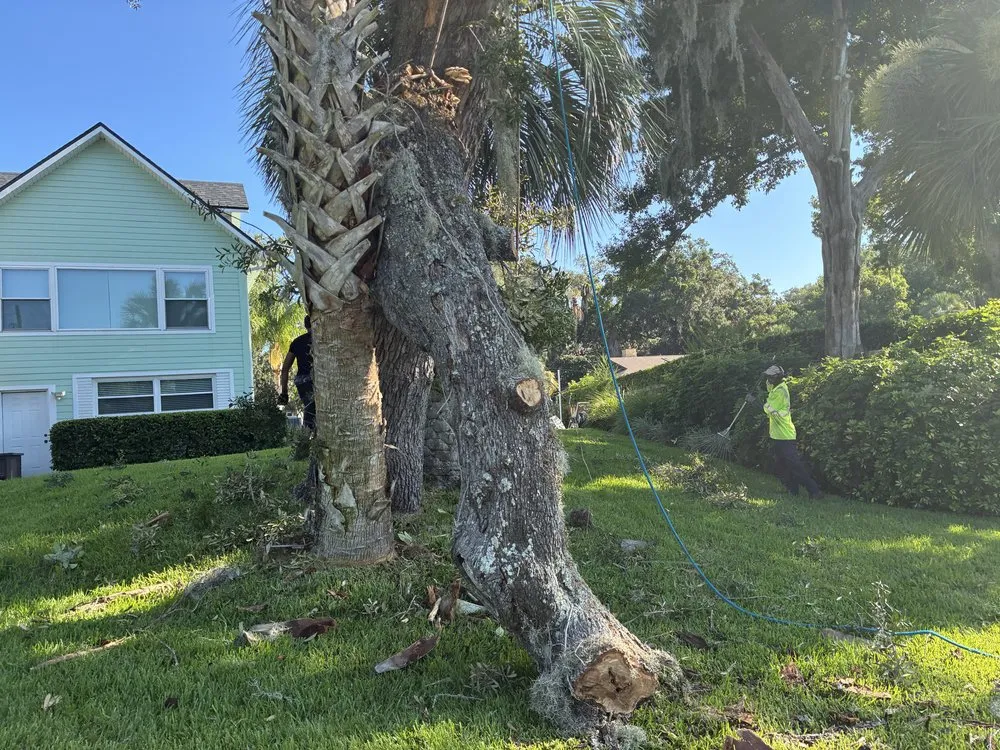 Top-rated landscape installation in Jacksonville, FL by J&A Tree Removal
