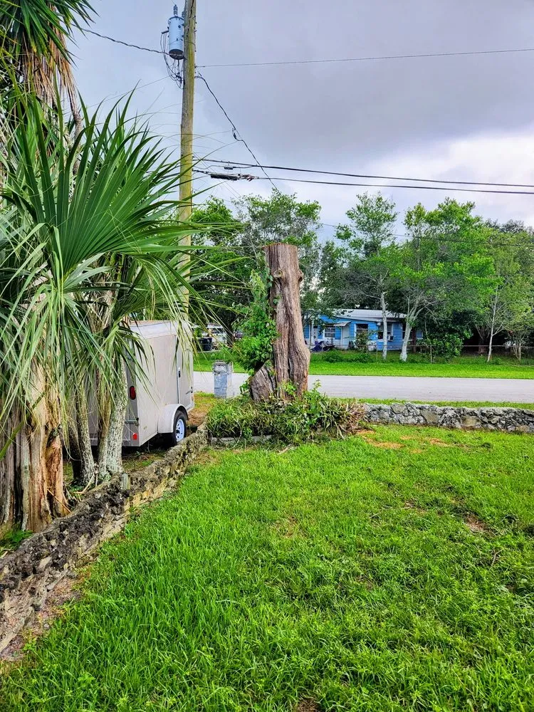 Reliable yard maintenance in Jacksonville, FL - J&A Tree Removal