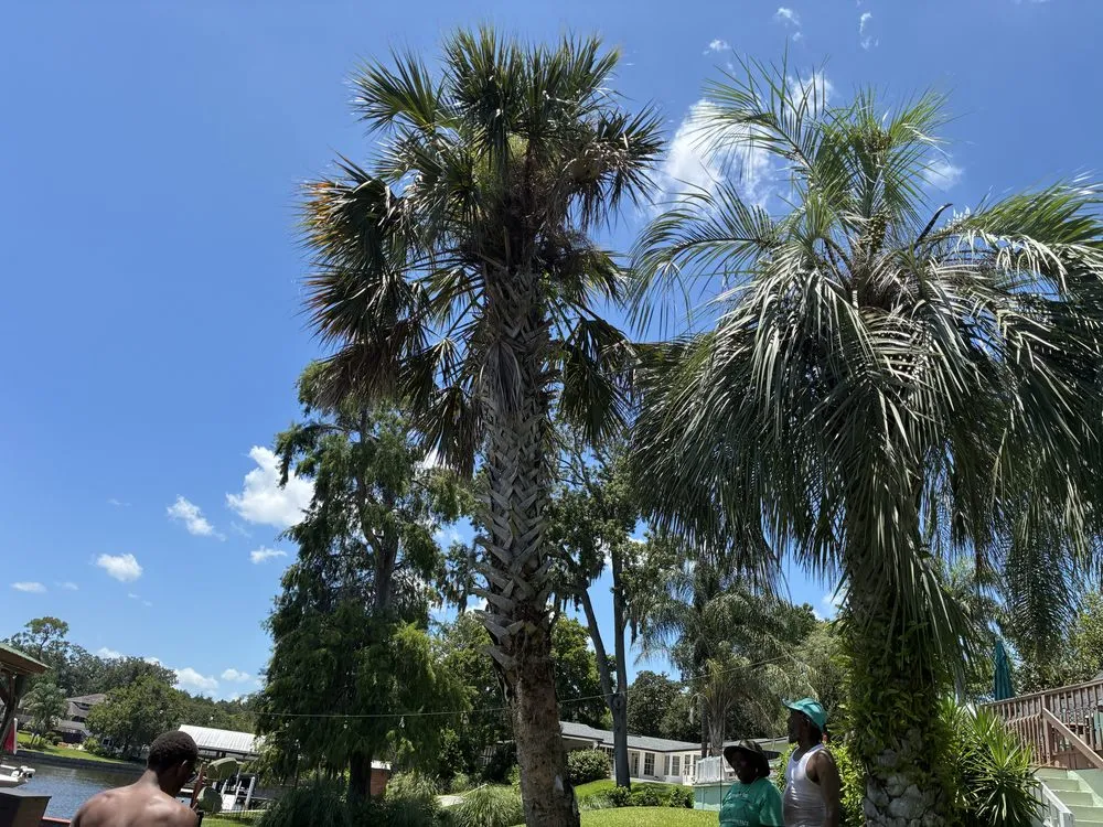 Professional landscape design experts serving Jacksonville, FL - J&A Tree Removal