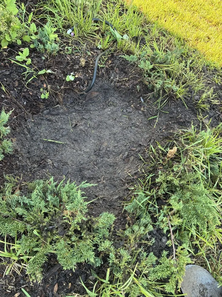 Affordable lawn mowing service in Jacksonville, FL - J&A Tree Removal