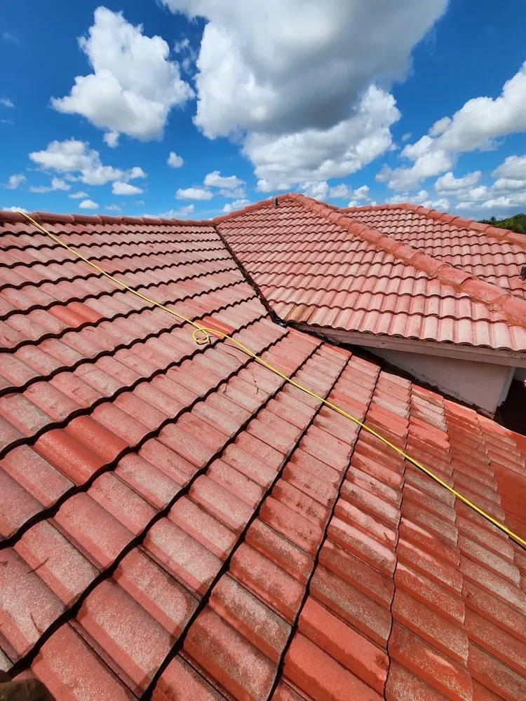 Expert yard maintenance for beautiful yards in Southwest Ranches, FL by JAAG Multiservices