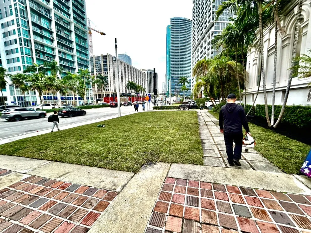 Custom landscaping services for beautiful yards across Southwest Ranches, FL - JAAG Multiservices