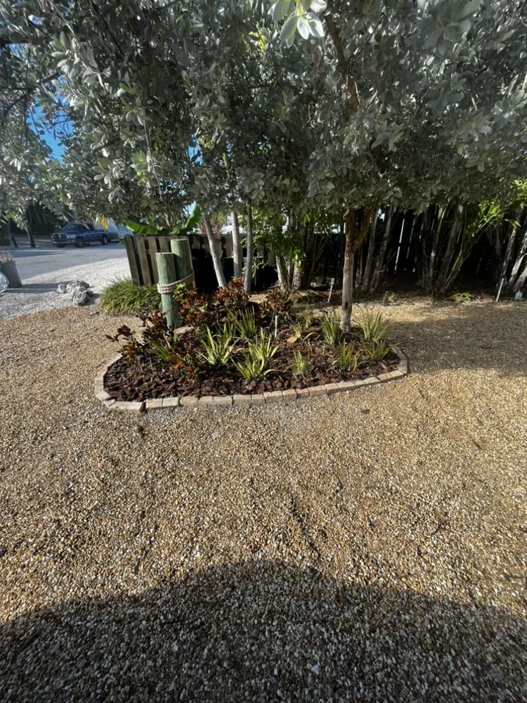 Local lawn care service experts serving Southwest Ranches, FL - JAAG Multiservices