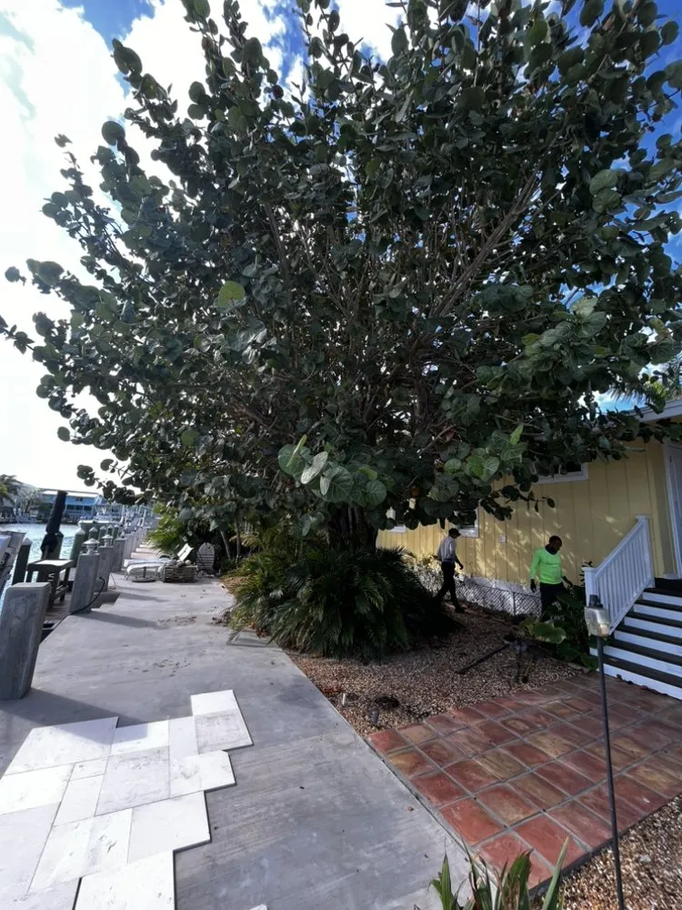 Top-rated lawn mowing service in Southwest Ranches, FL by JAAG Multiservices