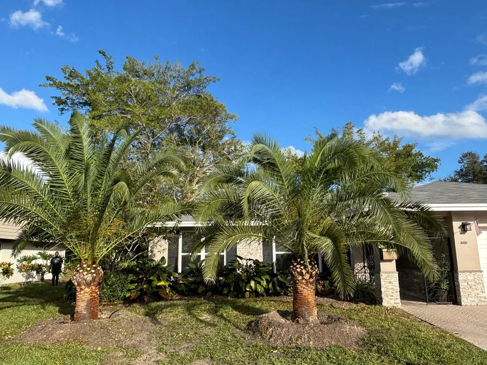 Local landscape installation for residential properties across Southwest Ranches, FL - JAAG Multiservices
