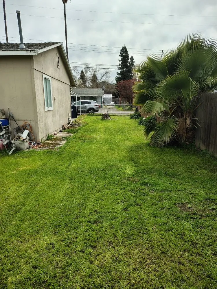 Top-rated yard maintenance in Carmichael, CA by Jaakes Mowtives