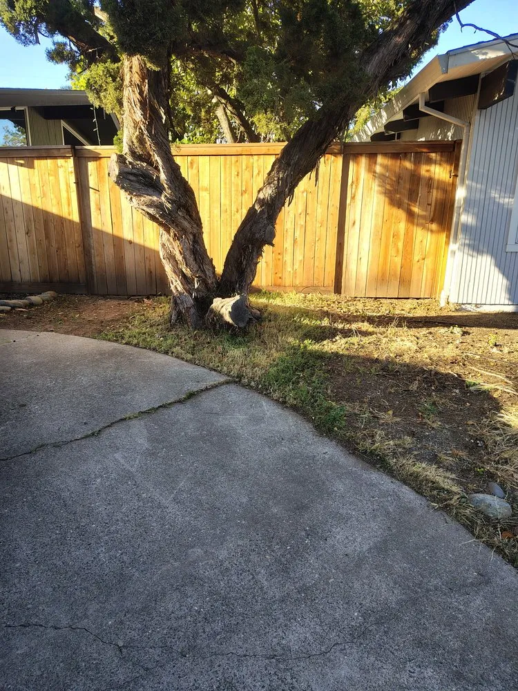 Expert yard maintenance in Carmichael, CA by Jaakes Mowtives