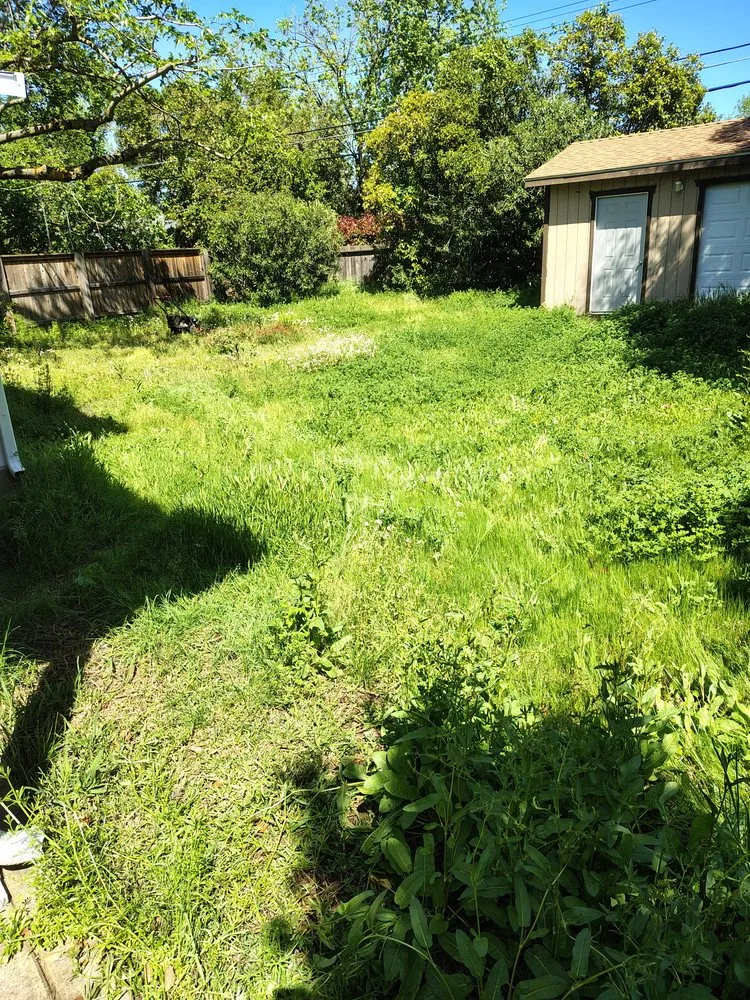 Custom yard cleanup service for beautiful yards across Carmichael, CA - Jaakes Mowtives