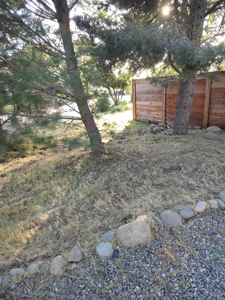 Professional yard cleanup service in Carmichael, CA by Jaakes Mowtives