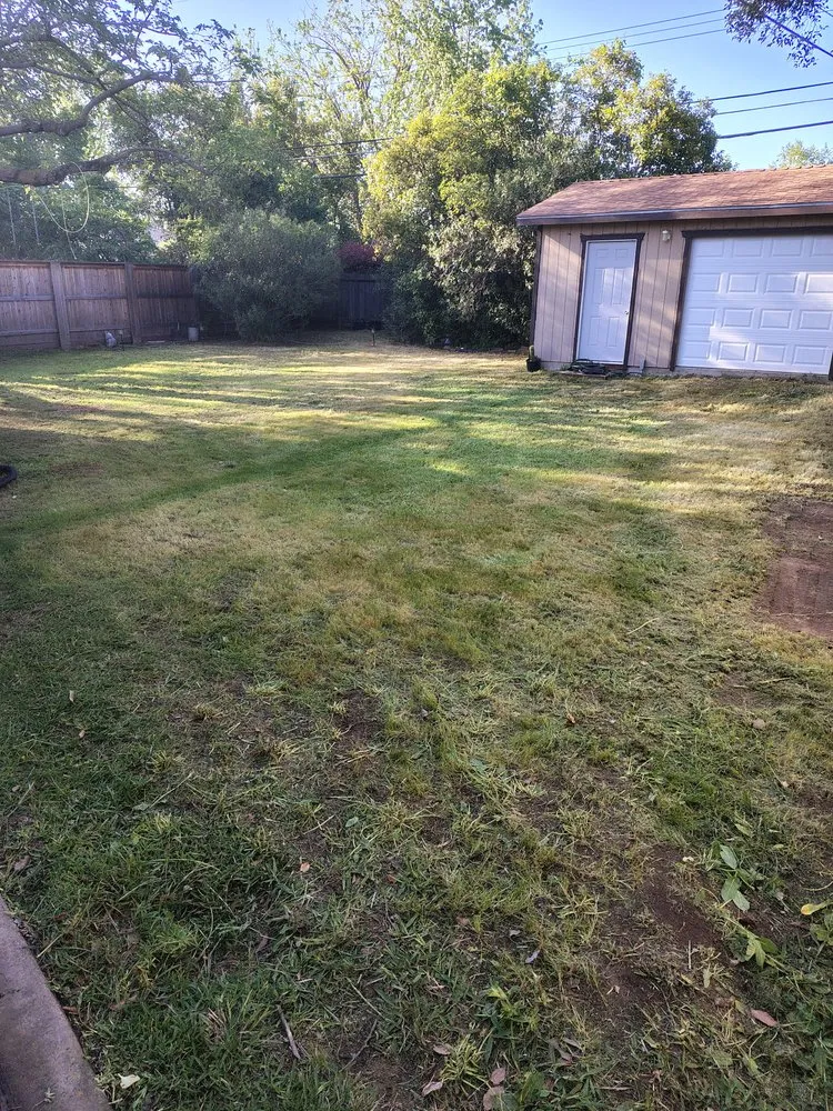 Top-rated outdoor landscaping in Carmichael, CA - Jaakes Mowtives