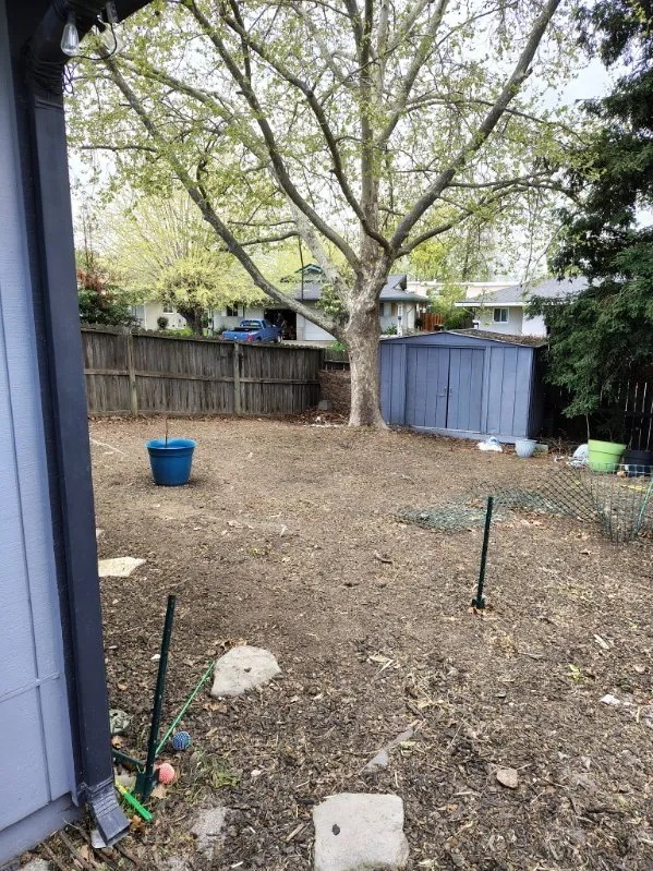 Trusted lawn mowing service for beautiful yards in Carmichael, CA by Jaakes Mowtives