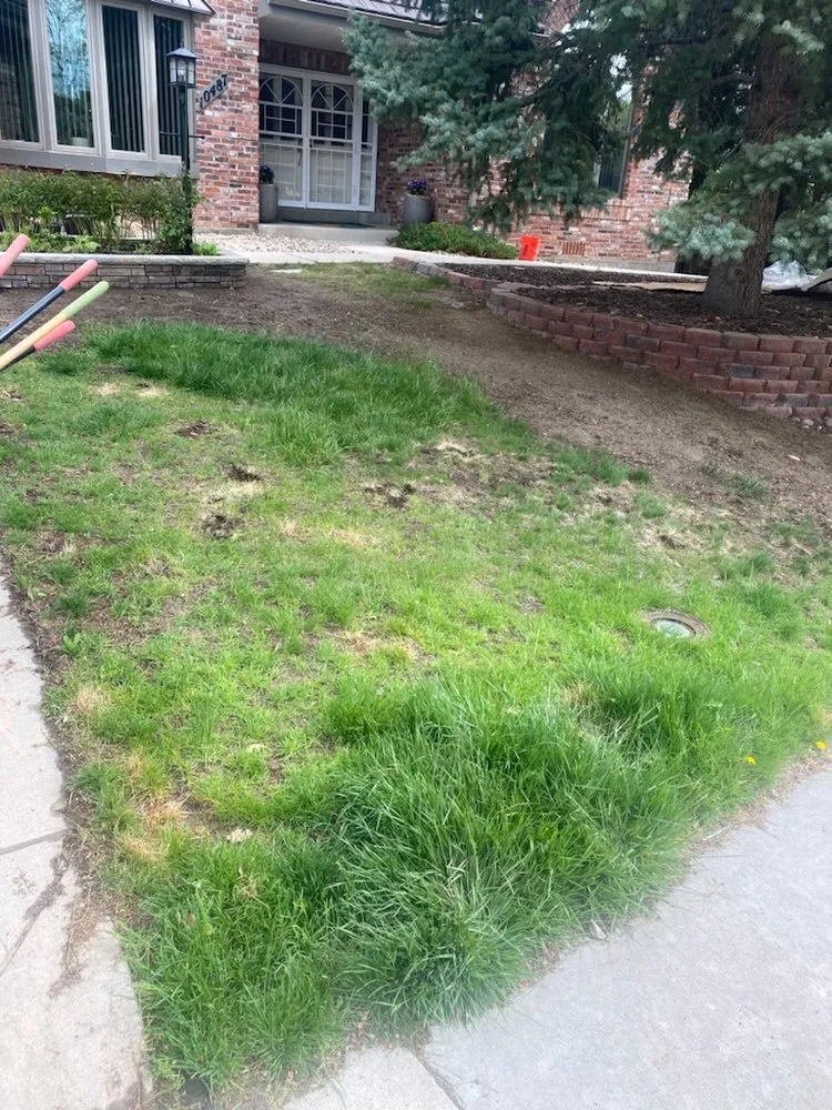 Expert lawn care service near you in Northglenn, CO by JAB Landscaping