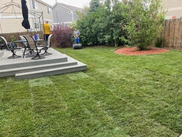 Professional lawn mowing service in Northglenn, CO - JAB Landscaping