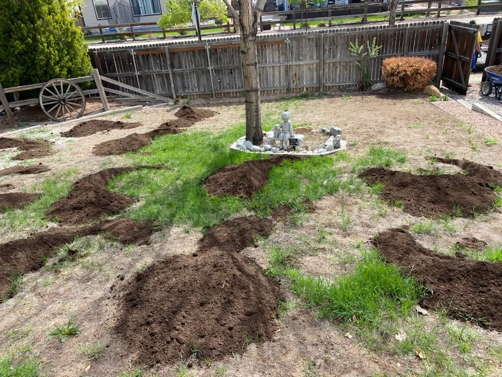 Professional landscaping services in Northglenn, CO - JAB Landscaping