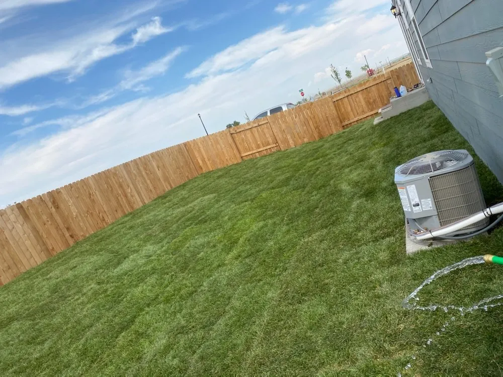 Expert yard cleanup service in Northglenn, CO by JAB Landscaping