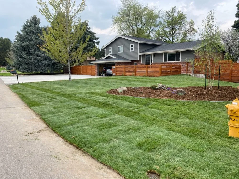 Reliable lawn mowing service in Northglenn, CO by JAB Landscaping