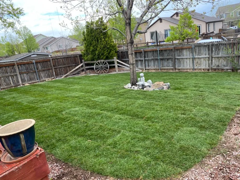 Professional yard maintenance in Northglenn, CO - JAB Landscaping