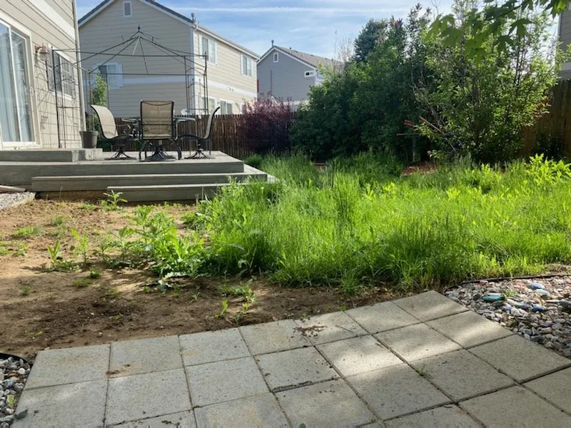 Affordable lawn care service in Northglenn, CO by JAB Landscaping