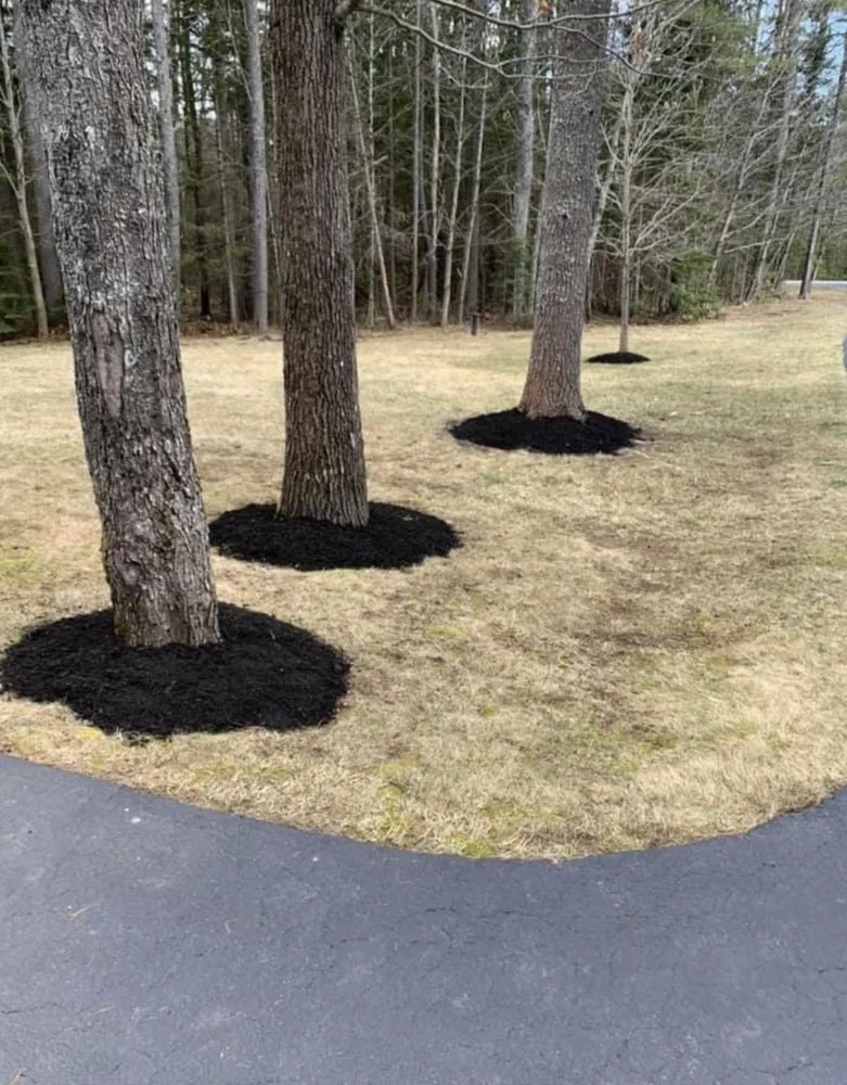 Local lawn mowing service for beautiful yards across Cumberland, ME - JAB Lawn Care