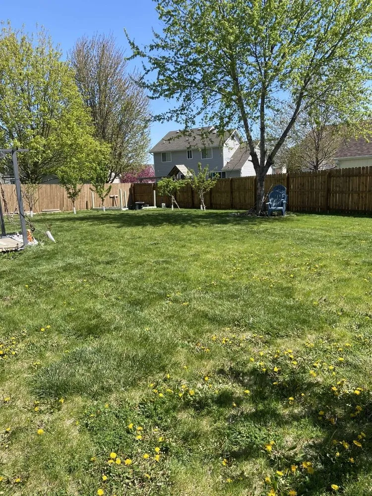 Expert yard maintenance near you across Des Moines, IA - JAB Services