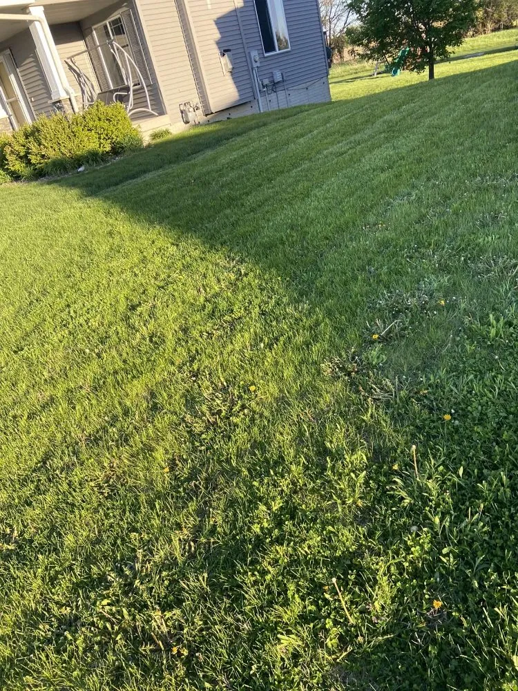 Expert yard maintenance for outdoor upgrades in Des Moines, IA by JAB Services