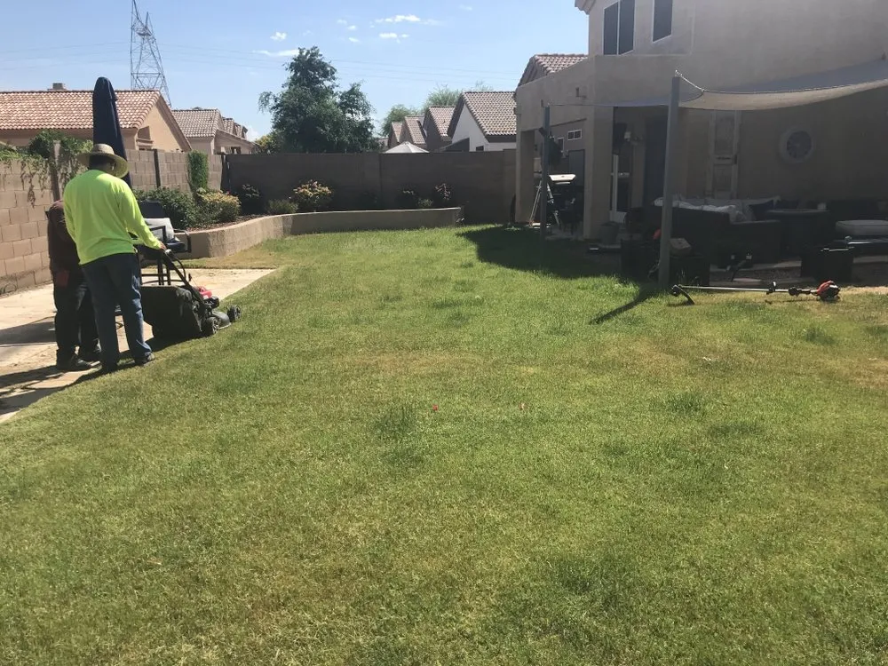 Custom landscaping services experts serving Phoenix, AZ - Jabes Landscaping